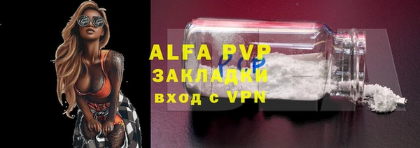 стафф Алексин